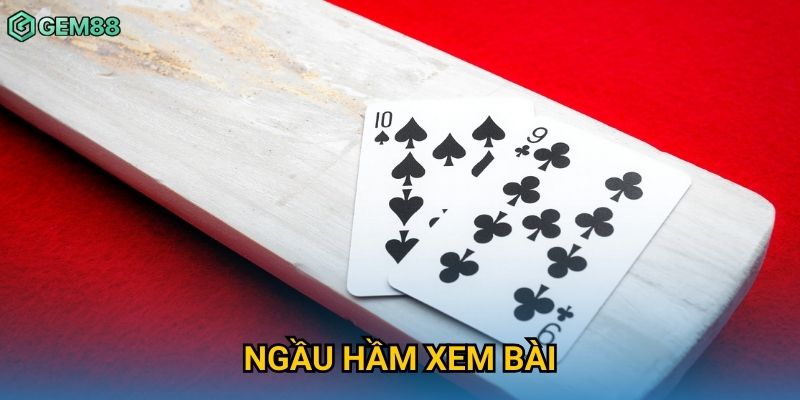 Ngầu Hầm Xem Bài Gem88 – Game Bài Cực Độc Đáo Và Gay Cấn 4 Ngầu Hầm Xem Bài Gem88 – Game Bài Cực Độc Đáo Và Gay Cấn