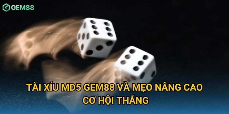 Tài xỉu MD5 Gem88 và mẹo nâng cao cơ hội thắng